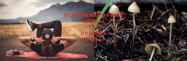 твердый Елизово