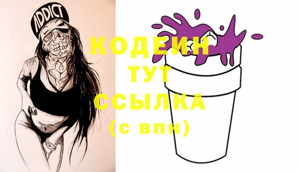твердый Елизово