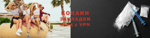 твердый Елизово
