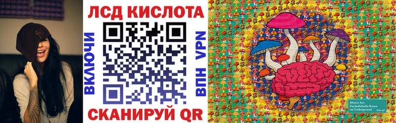 дарк нет официальный сайт  где найти   Махачкала  Марки NBOMe 1,8мг  гидра сайт 